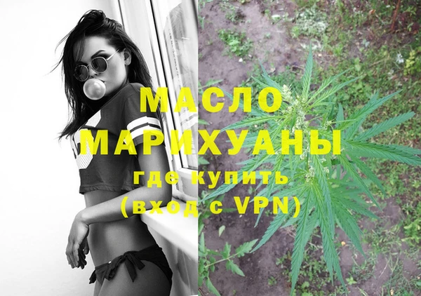 молекула духа Бородино